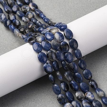 Natural Sodalite Beads Strands G-Z006-A39-1