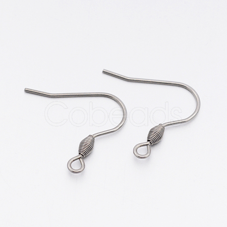 Tarnish Resistant 304 Stainless Steel Earring Hooks X-STAS-E074-42-1