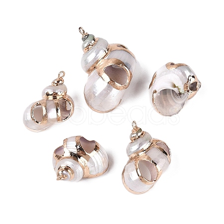 Electroplated Golden Brass Edged Natural Spiral Shell Pendants SSHEL-Q101-04-1