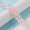 Natural Rose Quartz Beads Strands G-K332-B01-5