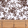 MIYUKI Delica Beads X-SEED-J020-DB0461-4