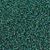 MIYUKI Round Rocailles Beads SEED-X0054-RR0295-3