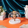 Glass Dome Cover AJEW-WH0752-087A-4