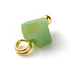 Electroplate Glass Charms PALLOY-JF00821-04-6