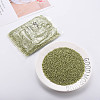 8/0 Glass Seed Beads SEED-A017-3mm-1126-6