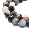 Natural Eagle Eye Stone Beads Strands G-K245-A09-04-3