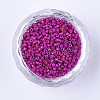 Baking Paint Cylinder Seed Beads SEED-Q036-02A-D10-2