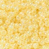 Glass Seed Beads SEED-H002-H-1302-3