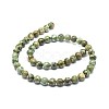 Natural Rhyolite Jasper Beads Strands G-F674-03A-8mm-2