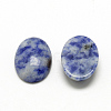Natural Blue Spot Jasper Cabochons G-R415-14x10-45-2