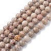 Natural Maifanite/Maifan Stone Beads Strands G-P451-01A-B-1