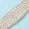 Natural Cultured Freshwater Pearl Beads Strands PEAR-E018-67-2