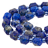 1 Strand Natural Lapis Lazuli Beads Strands G-FH0002-23-1