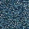 8/0 Glass Seed Beads SEED-A005-3mm-23-2