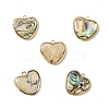 5Pcs Alloy Pave Natural Paua Shell Heart Charms FIND-YW0008-63-1