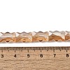 Electroplate Glass Beads Strands EGLA-L045-F-PL04-4