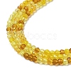 Transparent Glass Beads Strands GLAA-H027-01H-4