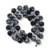 Natural Snowflake Obsidian Beads Strands G-G182-B35-03-3