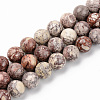 Natural American Turquoise Beads Strands G-S369-001D-B08-1