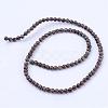 Natural Snowflake Obsidian Beads Strands G-Q462-4mm-37-2