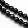 Natural Obsidian Round Beads Strands G-S156-12mm-1