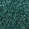 MIYUKI Delica Beads SEED-J020-DB0919-3