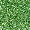 MIYUKI Delica Beads X-SEED-J020-DB2376-3