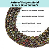 4 Strands 4 Styles Natural Dragon Blood Jasper Bead Strands G-OC0005-10-4