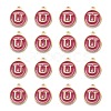 Golden Plated Alloy Enamel Charms X-ENAM-S118-08U-2