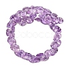 Natural Amethyst Beads Strands G-Z152-B01-02-3