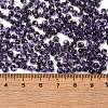 Transparent Colours Glass Seed Beads X1-SEED-P006-02A-12-4