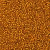 TOHO Round Seed Beads X-SEED-TR11-0030F-2