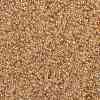 MIYUKI Round Rocailles Beads SEED-G009-RR0161-3