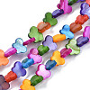 Dyed Natural Freshwater Shell Beads Strands SHEL-T009-B18-1