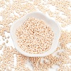 Baking Paint Glass Seed Beads X1-SEED-A033-05A-2