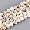 AB Color Natural Freshwater Shell Beads Strands X-BSHE-T014-40B-1