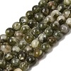 Natural Green Lepidolite Beads Strands G-K350-B01-6mm-2