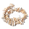 Dyed Natural Trochus Shell Beads Strands X-SSHEL-C013-09K-2