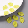Transparent Frosted Acrylic Pendants MACR-S371-03A-717-6