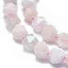Natural Morganite Beads Strands G-K303-B03-10mm-3