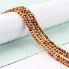 Natural Maifanite/Maifan Stone Beads Strands G-P451-01C-C-2