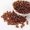 6/0 Round Silver Lined Round Hole Glass Seed Beads X-SEED-A005-4mm-53-1