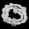 Natural Quartz Crystal Beads Strands G-F769-O01-01-3