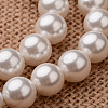 Polished Round Grade A Shell Pearl Bead Strands X-BSHE-M027-6mm-28-1