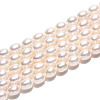 Natural Cultured Freshwater Pearl Beads Strands PEAR-N024-05-4AB-2