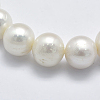 Natural Cultured Freshwater Pearl Beads Strands PEAR-K003-13A-01-3