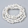 Natural White Moonstone Beads Strands X-G-P332-01-5
