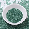 MIYUKI Delica Beads SEED-J020-DB0060-3