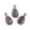 Natural Amethyst Teardrop Charms STAS-B074-04P-04-1