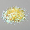 Iridescent Ornament Accessories KY-WH0036-52A-2